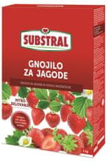 Substral specialno mineralno gnojilo za jagode, 1 kg