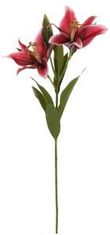 Shishi Roza lilija 100 cm