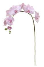 Shishi Roza orhideja 96 cm z velikimi cvetovi