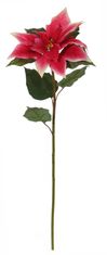 Shishi Rdeča božična zvezda, jelka 68 cm