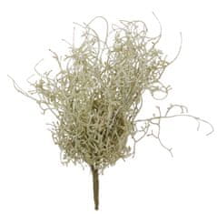 Shishi Sivi mah 35 cm