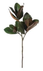 Shishi Listi magnolije 80 cm