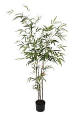 Shishi Bambus v embalaži z rožami 1,3 m