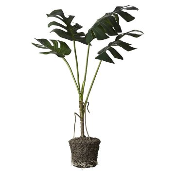 Lene Bjerre Monstera z žogo FLORA 60 x 45 x 86 cm