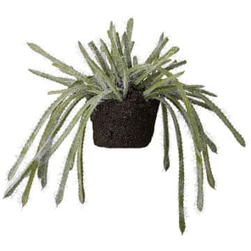 Lene Bjerre Umetni okrasni sočnik v krogli, višina 15 cm