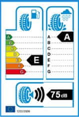 Nokian Tyres 295/30R19 100Y NOKIAN Z LINE XL