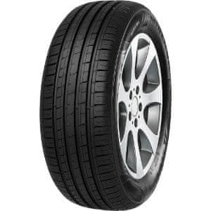 Minerva 205/55R16 91V MINERVA F209