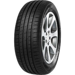 Tristar 205/55R16 91 W TRISTAR ECOPOWER4