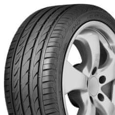 Delinte 225/55R16 99W DELINTE DH2