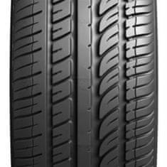 Goalstar 205/50R17 93W GOALSTAR CATCHPOWER