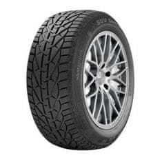 Riken 205/50R17 93V RIKEN SNOW