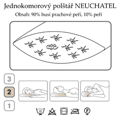 Ch. Fischbacher Vzglavnik NEUCHATEL 60 x 80 cm iz gosjega puha v bombažu