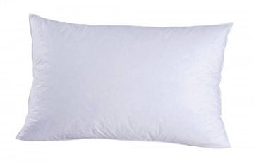 Ch. Fischbacher Vzglavnik WENGEN 40 x 80 cm iz gosjega puha v bombažu