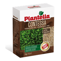 Plantella contessa