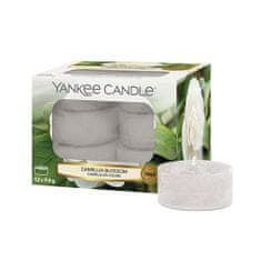 Yankee Candle Čajne sveče , Camellia cvet, 12 kosov