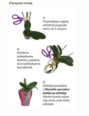 Plantella Zemlja za orhideje, 3 l