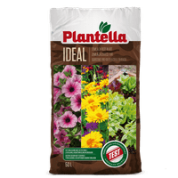Plantella ideal