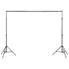 Vidaxl Komplet za foto studio z ozadjem in kompletom razsvetljave