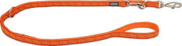 Red Dingo Preklopni povodec Hypno oranžna