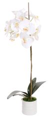 Shishi Pastelno roza orhideja s cvetličnim lončkom 75 x 30 cm