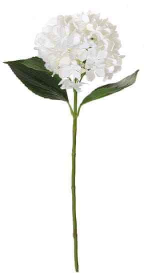 Shishi Bela hortenzija 66 cm