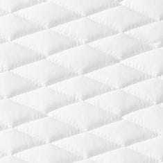 Vidaxl Vzglavnik 2 kosa 60x40x14 cm spominska pena