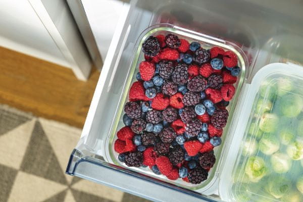 Prostostoječi kombinirani hladilnik Gorenje N619EAXL4 FastFreeze