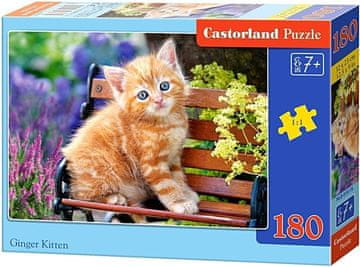 Castorland Puzzle Ginger Kitten 180 kosov