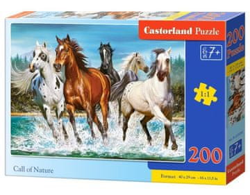 Castorland Sestavljanka Klic narave 200 kosov