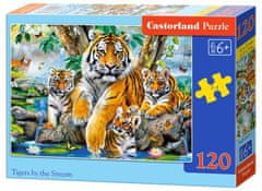 Castorland Puzzle Tigri ob reki 120 kosov