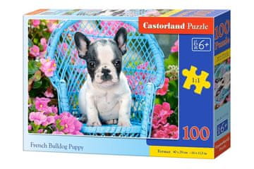 Castorland Francoski buldog, mladiček Puzzle 100 kosov