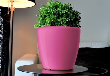 Greensun AQUAS Samoplačniški sadilnik, premer 22 cm, višina 21 cm, roza