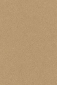 Casadeco Ozadje LEWIS 24 iz kolekcije JARDINS SUSPENDUS