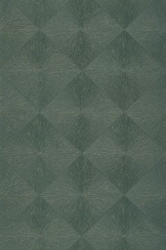 Casadeco UTOPIA PERCEPTION 22 ozadje iz kolekcije UTOPIA