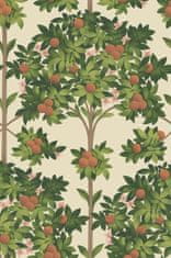 Cole & Son Ozadje ORANGE BLOSSOM 01 iz kolekcije SEVILLE