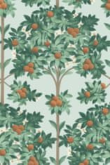Cole & Son Ozadje ORANGE BLOSSOM 04 iz kolekcije SEVILLE