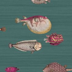 Cole & Son Ozadje ACQUARIO 12024, kolekcija FORNASETTI