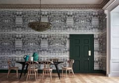 Cole & Son Ozadje RIFLESSO 20040, kolekcija FORNASETTI SENZA TEMPO