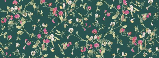 Cole & Son Ozadje Sweet Pea 11033, kolekcija BOTANICAL