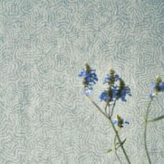 Designers Guild Ozadje FRESCO - PEWTER, kolekcija FOSCARI FRESCO