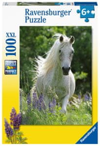  Ravensburger sestavljanka, 100 delov