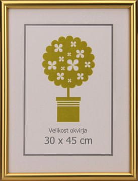 Karako Foto okvir 30x45 cm, plastika, stenski, 95 zlat