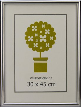 Karako Foto okvir 30x45 cm, plastika, stenski, 95 srebrn