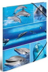 Herma mapa Delfini, A4, kartonska