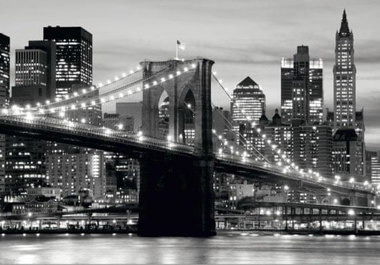 AG Design fototapeta črno-beli Brooklynski most ob sončnem zahodu, 360 x 254 cm