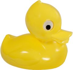 Směr Duck