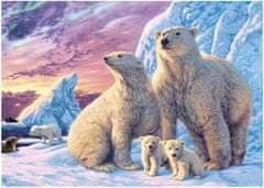 Dino Secret collection: Polarni medvedi sestavljanka, 1000 delov