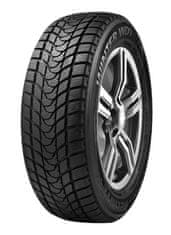 Delinte 205/55R16 91H DELINTE WD1