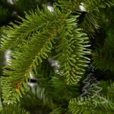 Božično drevo Kavkaška jelka 220 cm
