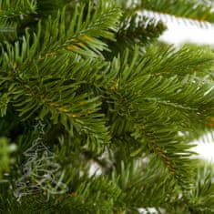 Božično drevo Kavkaška jelka 150 cm